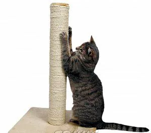 Gato atigrado apoyado en un poste rascador de sisal